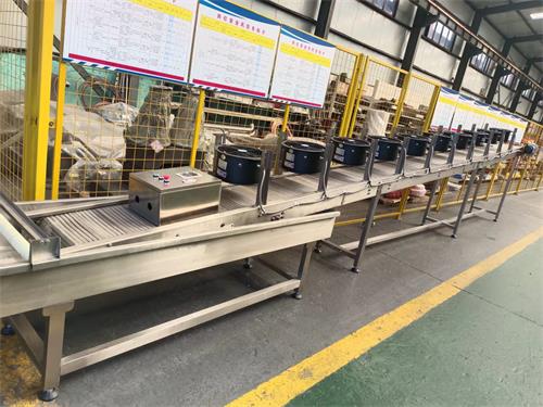 ZYCM110型生產線
